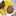 /www/bananadaily.net/web/images/image/2281/22812404.avif