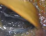 /www/bananadaily.net/web/images/image/2281/22812817.avif